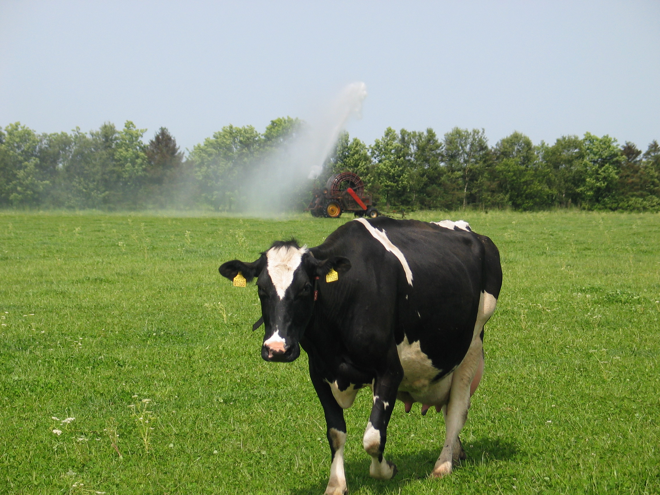 Øko. anbefalede frøblandinger
